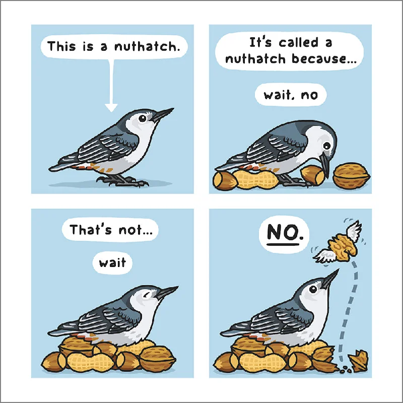 Nuthatch Secrets Print